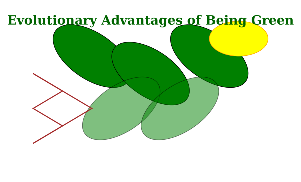 Evolutionary Advantages of Being Green